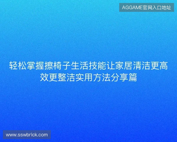 轻松掌握擦椅子生活技能让家居清洁更高效更整洁实用方法分享篇 轻松掌握擦椅子生活技能让家居清洁更高效更整洁实用方法分享篇